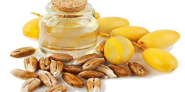 تصویر 4 از قیمت خرید روغن هسته خرما ارگانیک عمده به صرفه و ارزان